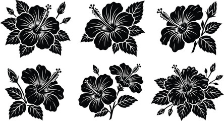 Black and white hibiscus flowers vector illustration set © sarjana