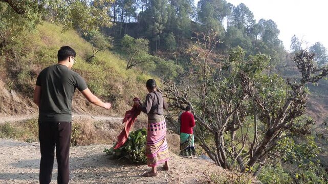 Raw video footage of a rural Indian woman walking on a village stone road in Uttarakhand India carrying green fodder and showcasing countryside lifestyle.