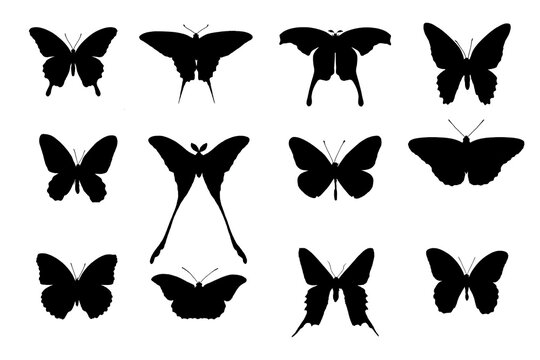 Flying butterflies silhouette black set isolated on transparent background