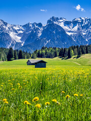 Obraz premium Landschaft mit Wiesen und Karwendelgebirge bei Mittenwald, Frühling, Werdenfelser Land, Oberbayern, Bayern, Deutschland