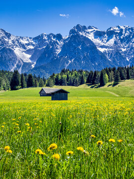 Landschaft mit Wiesen und Karwendelgebirge bei Mittenwald, Fr&uuml;hling, Werdenfelser Land, Oberbayern, Bayern, Deutschland