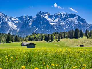 Obraz premium Landschaft mit Wiesen und Karwendelgebirge bei Mittenwald, Frühling, Werdenfelser Land, Oberbayern, Bayern, Deutschland
