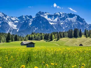 Landschaft mit Wiesen und Karwendelgebirge bei Mittenwald, Frühling, Werdenfelser Land, Oberbayern, Bayern, Deutschland © pwmotion
