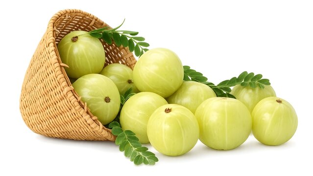 fresh gooseberry amla in a wicker basket, ripe gooseberry amla with leaves isolated, fresh indian gooseberry on white background, healthy organic amla fruits spilled from a wooden basket