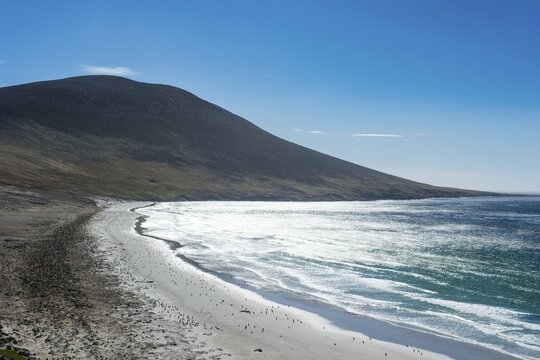 The Neck isthmus on Saunders island, Falklands, South America