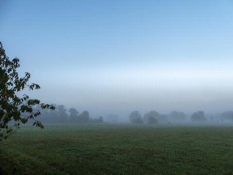Landscape and meadows in the morning mist in autumn, Schlepzig, Spreewald, Brandenburg, Germany