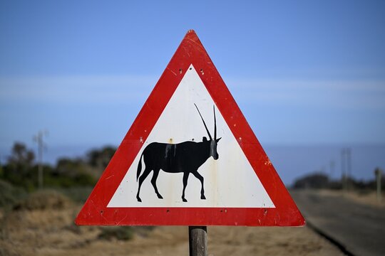 Beware of oryx antelopes (Oryx gazella) sign on a road near Oranjemund, Diamond Sperrgebiet, Karas Region, Namibia