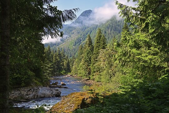 Unknown, picturesque valley with steep mountain slopes through which a stream flows, Vancouver Island