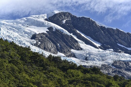 Glacier with forest in Parque Nacional Los Glaciares National Park, Argentina, Patagonia, South America