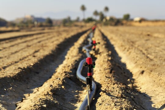Sprinkler on an irrigation pipe, dried out soil, Almeria, Andalusia, Southern Spain, Spain