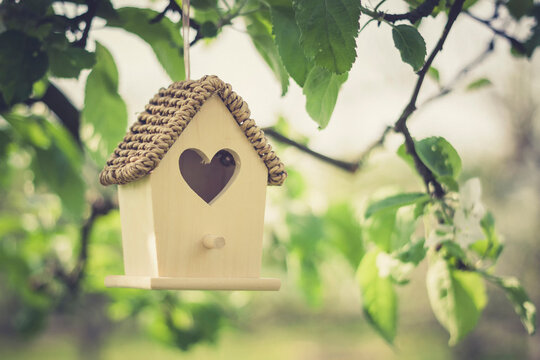 Birdhouse hanging on apple tree