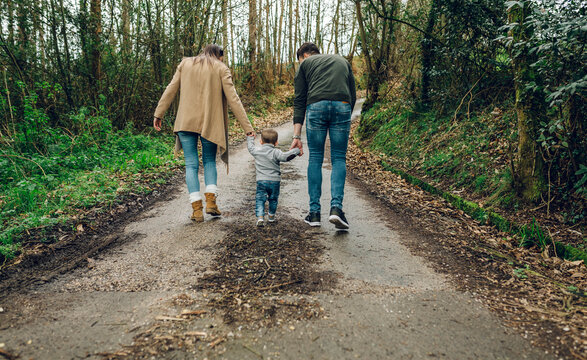 Back view of family walking in forest in autumn