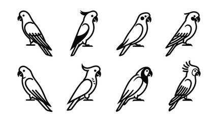 Fototapeta premium Parrot vector illustrations of various species in different poses and profiles