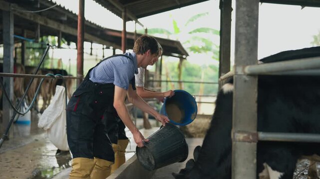 Caucasian man and woman dairy farmers working in modern cowshed.