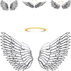 Obraz premium Angel wings and golden halos are illustrating heavenly concepts, spirituality, freedom, and divine protection, offering symbols of peace, ascent, and purity on a white background