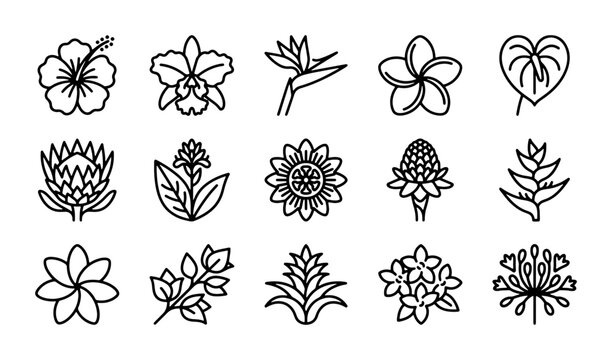 Tropical Flower Icons Set, Exotic Botanical Line Art Collection, Floral Vector Graphics for Design