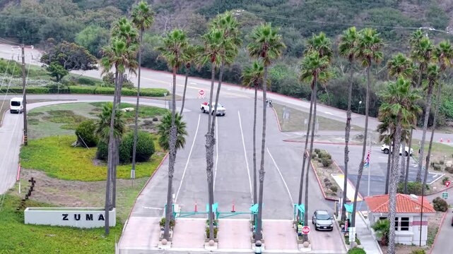 Tall palm trees at the entrance to Zuma Beach in Malibu, California on a sunny day - ascending aerial reveal