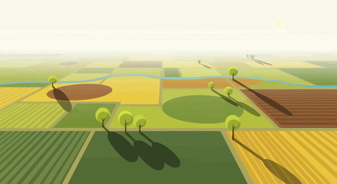 Aerial View of Agricultural Fields with Trees and Shadows, Sunny Day
