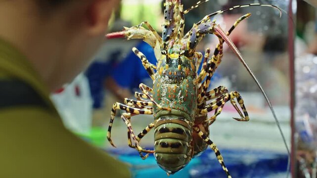 Tourists bargaining with a seafood vendor while choosing live spiny lobster at a traditional wet market in Thailand. Authentic seafood trade and local market atmosphere
