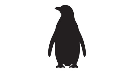penguin silhouette on white background animal bird © MD