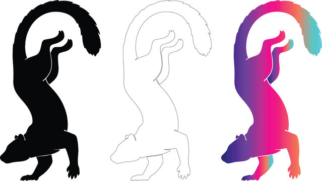 Kinkajou vector icon set with silhouette, outline, and colorful gradient on transparent background