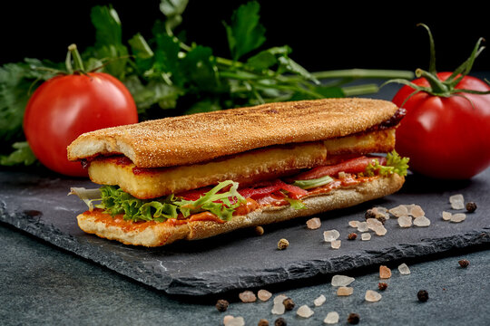 Gourmet vegan sandwich with plant-based kebab, sauce and fresh lettuce on black slate board, side view of delicious meatless submarine sandwich or panini on dark background, eco buffet1628.jpg