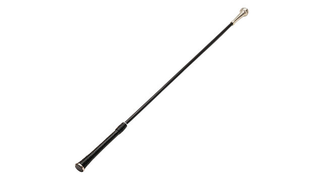 Thin long black pointer stick equestrian whip or dressage crop isolated on transparent background