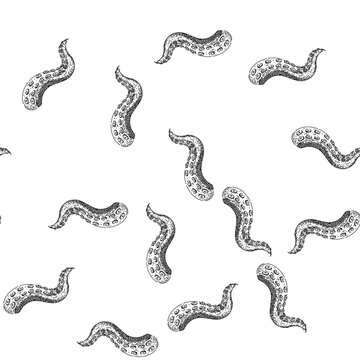 seamless pattern monster octopus kraken tentacle hand drawn. squid sea, tattoo art, underwater fantasy monster octopus kraken tentacle black sketch illustration
