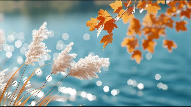 Soft light reflects on water with autumn leaves and reeds swaying by the lakeshore at sunset