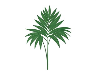 Fototapeta premium Green Tropical Palm Leaf Isolated on White Background