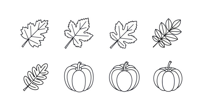 Collection of hand-drawn leaves and pumpkins for seasonal designs and autumn-themed projects.