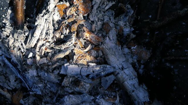Extreme close up of dying bonfire with glowing embers and white ash, revealing the bright orange and yellow heat within the smoldering coals while tiny particles float in the air