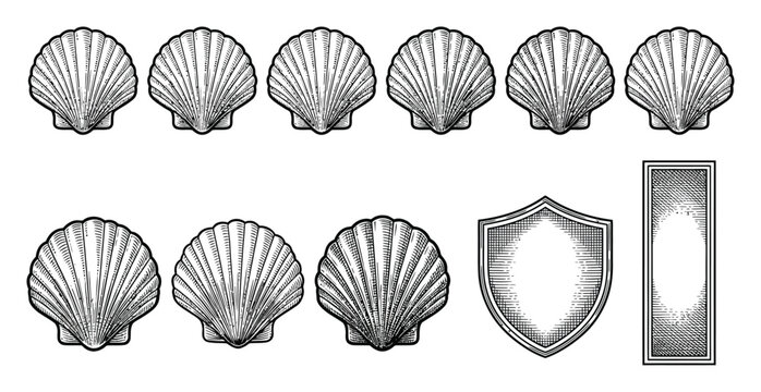 A collection of vintage engraved scallop shells, decorative shields, and rectangular frames
