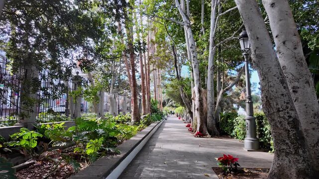 POV Walk Through Tropical Botanical Gardens of Parque Municipal de Arucas Gran Canaria Spain