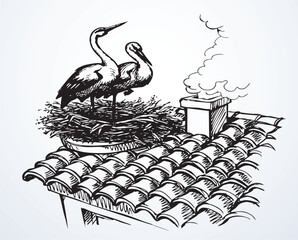 Fototapeta premium Vector drawing. Storks in a nest on the roof