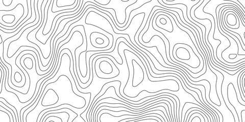 Minimalist abstract topographic contour lines, flowing organic curves, monochrome line art, clean seamless pattern, modern map-inspired design, white background. © Pixel Art Studio