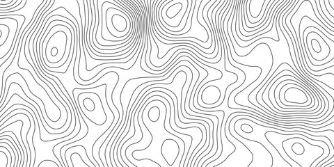 Minimalist abstract topographic contour lines, flowing organic curves, monochrome line art, clean seamless pattern, modern map-inspired design, white background. © Pixel Art Studio