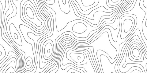 Fototapeta premium Minimalist abstract topographic contour lines, flowing organic curves, monochrome line art, clean seamless pattern, modern map-inspired design, white background.
