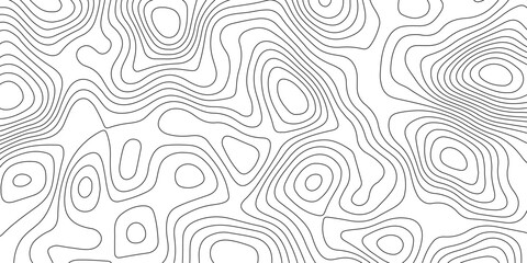 Fototapeta premium Minimalist abstract topographic contour lines, flowing organic curves, monochrome line art, clean seamless pattern, modern map-inspired design, white background.