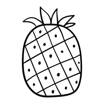 Linear drawing of a ripe pineapple in doodle style.