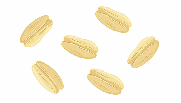 Organic oat grains vector illustration, raw oatmeal seeds on white background, natural cereal groats for healthy breakfast packaging