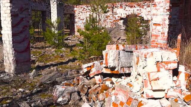 Ruined and collapsed red brick building slowly being reclaimed by nature as small pine trees and other vegetation grow inside the decaying structure on a sunny day in the forest