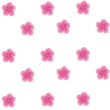 Pink plumeria frangipani flowers seamless pattern