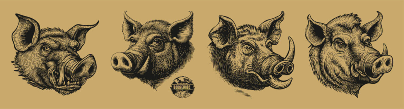 Detailed Illustrations of Warthog Heads in Vector Art Style