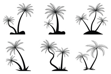 Naklejka premium Palm trees vector illustration, Tropical nature element. Set of vector black silhouettes of palm trees isolated on a white background. Eps 10.