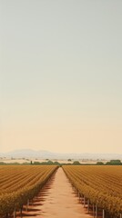 Fototapeta premium Outdoors vineyard horizon nature.