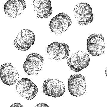 seamless pattern pink lychees hand drawn. fresh nature, red healthy, organic ingredient pink lychees black sketch illustration