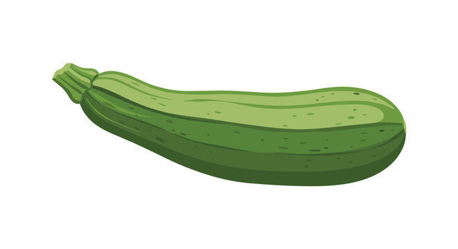 Single fresh green zucchini vegetable isolated on a white background, perfect for healthy cooking, vegan recipes, and nutritional food content projects.