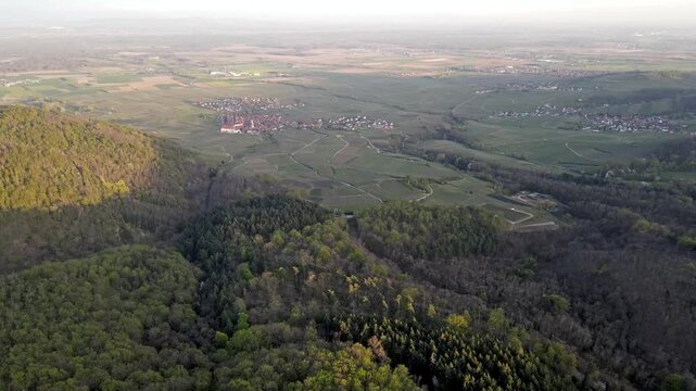 Aerial survey of Alsace vineyard mosaic and small hamlet with church spire amid spring agricultural landscape. Patchwork of vine rows and green fields with rural paths and gentle hills. Alsace