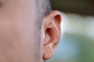 Naklejka premium Close-up side view of a human head showing the detailed structure of the ear.